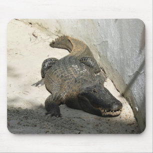 Alligator, Fort Lauderdale, Florida Mouse Mat