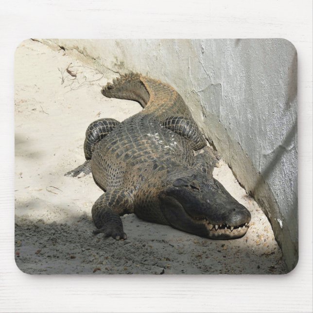 Alligator, Fort Lauderdale, Florida Mouse Mat (Front)