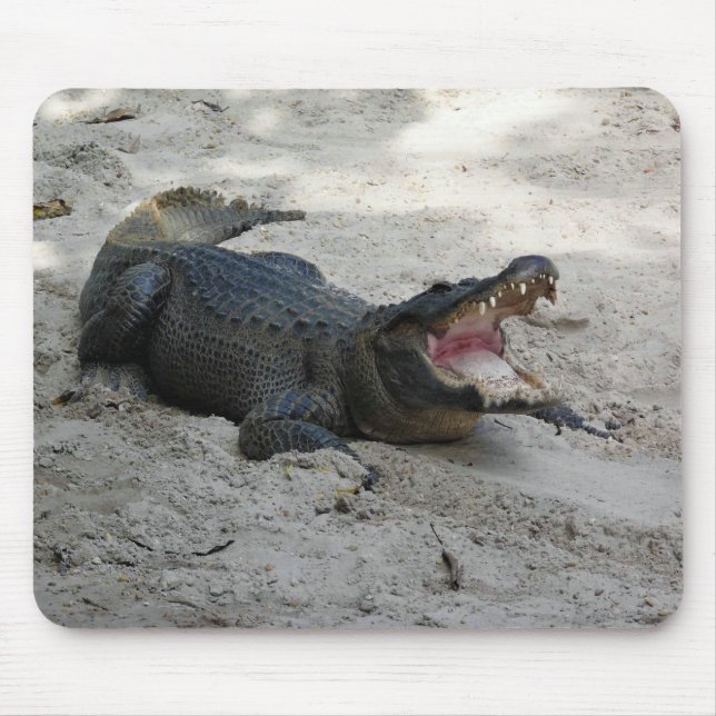 Alligator, Fort Lauderdale, Florida Mouse Mat (Front)