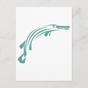 Alligator Gar Fish Postcard