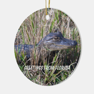 Alligator Greetings From Florida Ceramic Tree Decoration