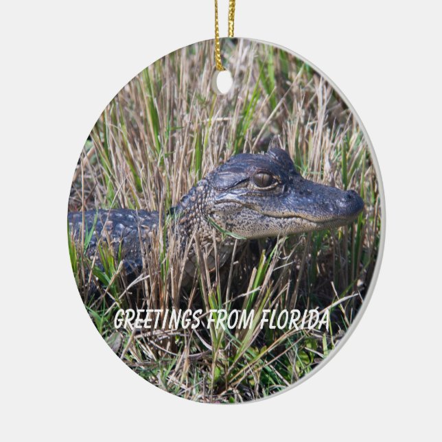  Alligator Greetings From Florida Ceramic Tree Decoration (Left)