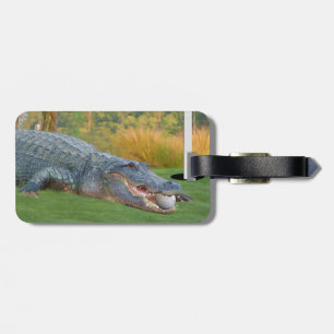 Alligator, Hazardous Lie in Golf Luggage Tag