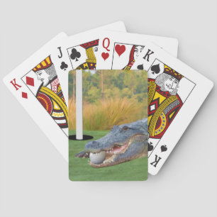 Alligator, Hazardous Lie in Golf Playing Cards