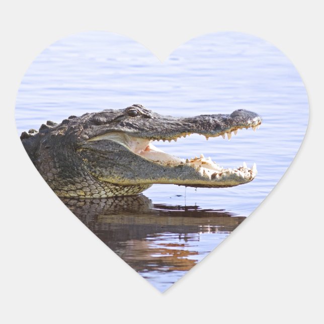 Alligator Heart Sticker (Front)