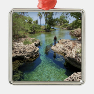 Alligator Hole, Black River Town, Jamaica Metal Tree Decoration