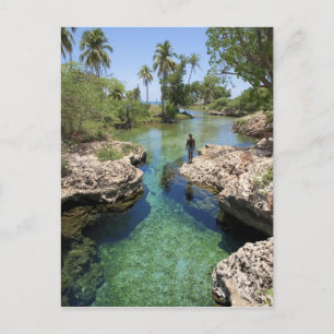 Alligator Hole, Black River Town, Jamaica Postcard
