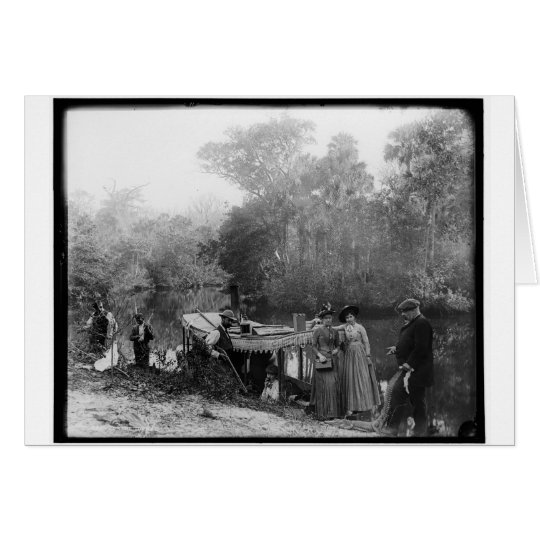 Alligator Hunting, Tomoka River, Florida 1880-1897 Card