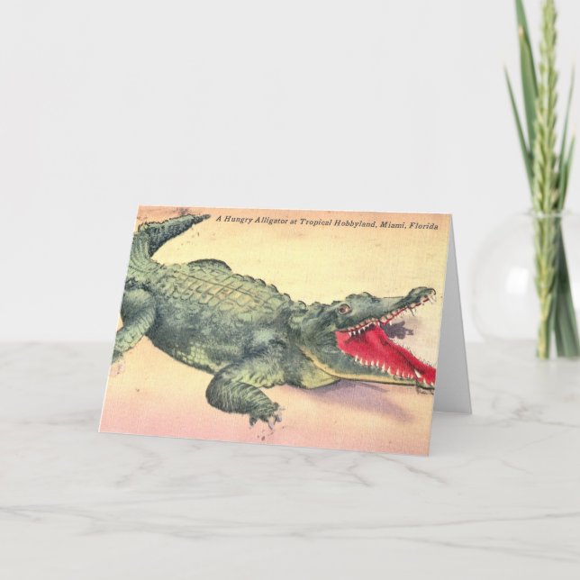Alligator in Florida Card (Front)