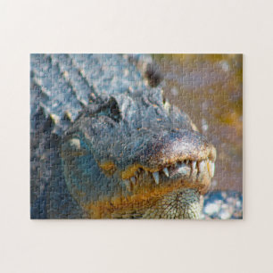 Alligator in Mississippi. Jigsaw Puzzle