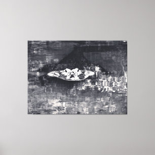 Alligator in Mysterious Waters Canvas Print