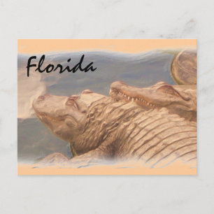 Alligator love Florida postcard