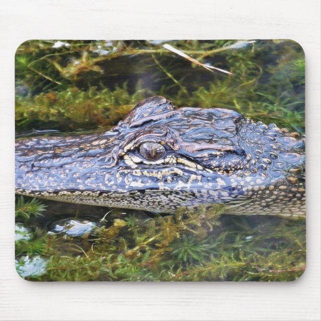 Alligator Mouse Mat (Front)