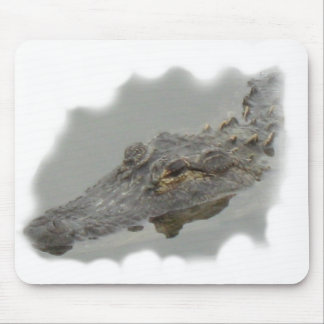 alligator mouse mat