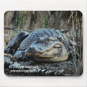 Alligator Mouse Mat