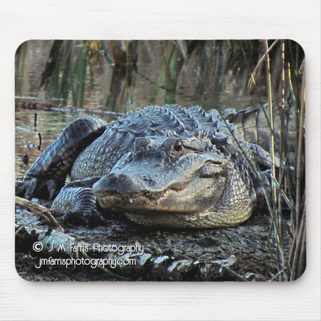 Alligator Mouse Mat (Front)