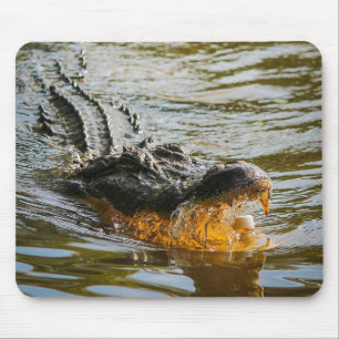 Alligator mouse pad