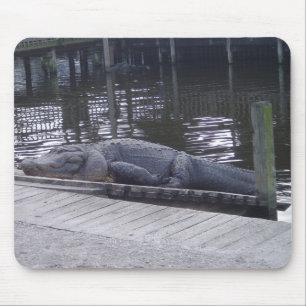 Alligator Mouse Pad