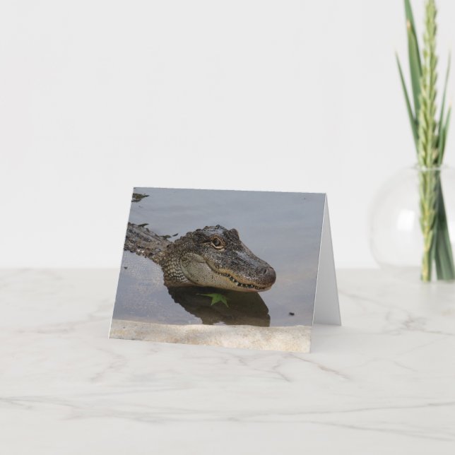 Alligator Note Card (Front)