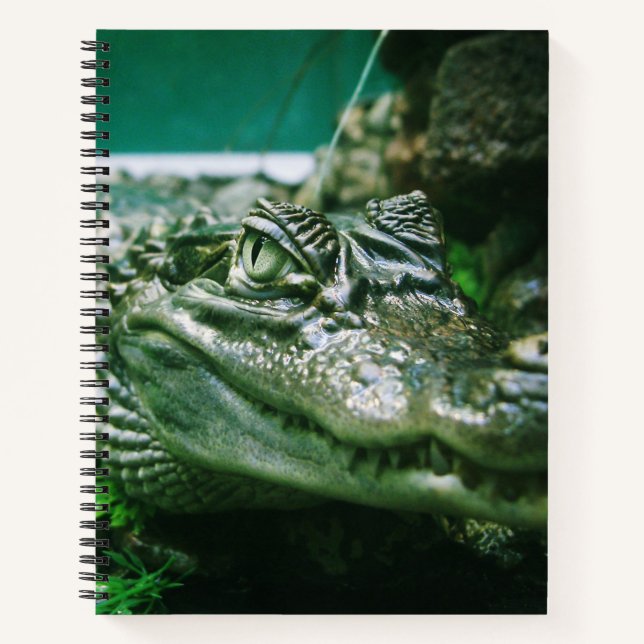 Alligator Notebook (Front)