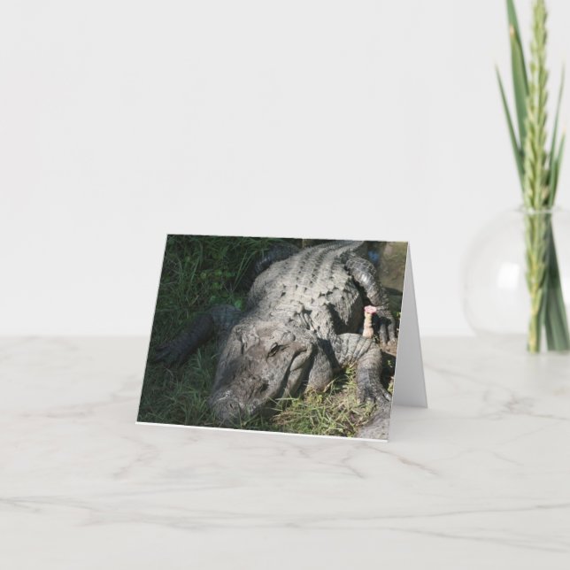 Alligator Photo Folded Note Card (Front)