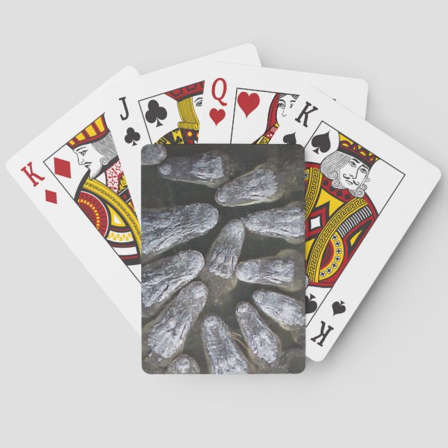 Alligator Playing Cards (Back)