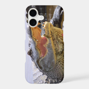 Alligator portrait closeup