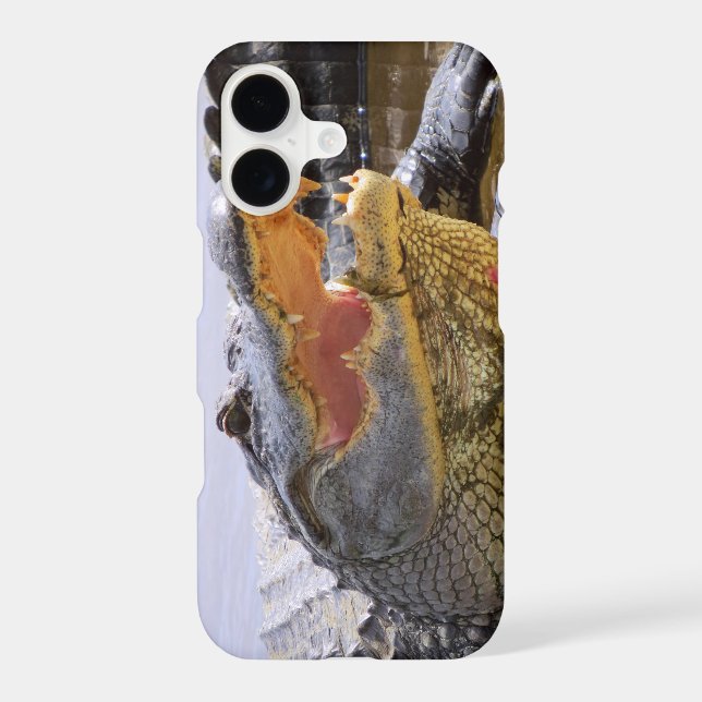 Alligator portrait closeup (Back)