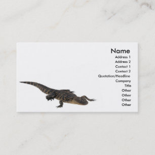 Alligator Profile Card