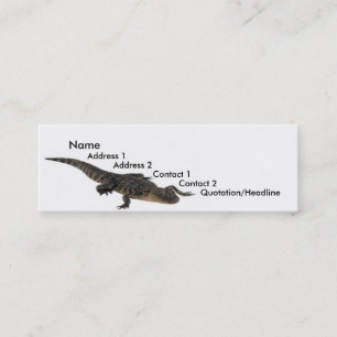 Alligator Profile Card