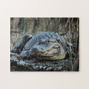 Alligator Puzzle