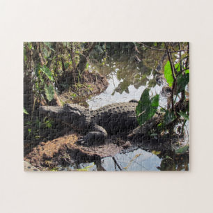 Alligator Puzzle