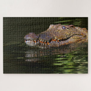 Alligator Puzzle