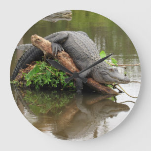 Alligator - Reflections of Time - Wall Clock