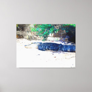 Alligator Resting by Stone Wall Canvas Print