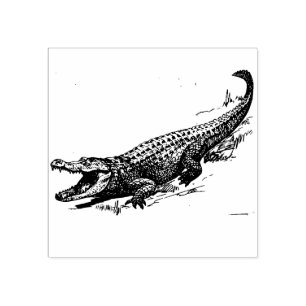 Alligator  Rubber Stamp