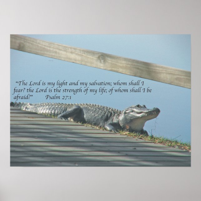 Alligator Scripture Poster (Front)