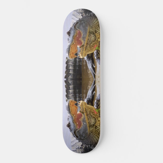 Alligator Skateboard (Front)
