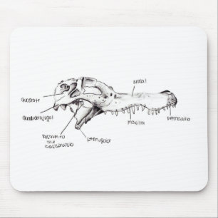 Alligator Skull Diagram Mouse Mat