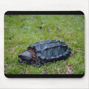 Alligator Snapping Turtle Mouse Mat