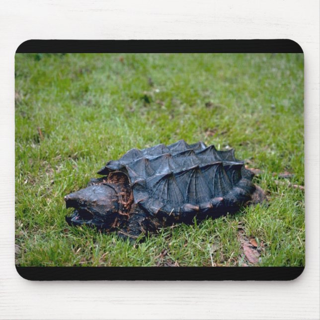 Alligator Snapping Turtle Mouse Mat (Front)