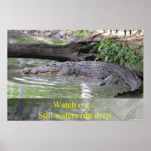 Alligator Still Waters Run Deep Poster