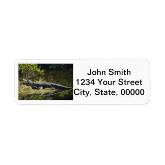 Alligator Sunbathing Personalise Return Address