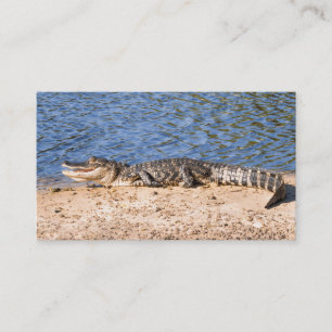 Alligator sunning at the lake business card
