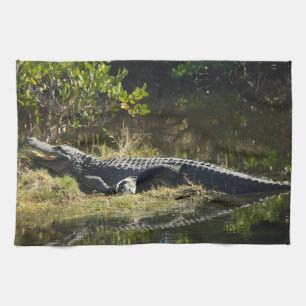 Alligator Sunning on a Florida Marsh Bank Tea Towel