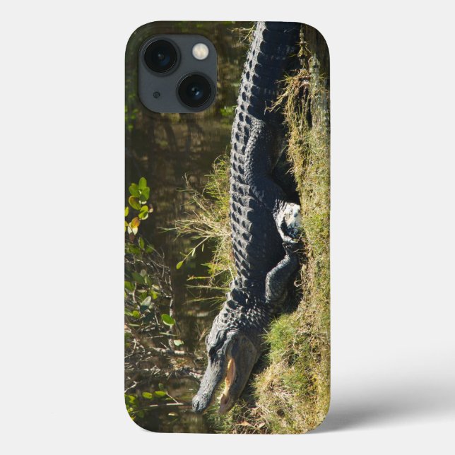 Alligator Sunning on Marsh Bank Case-Mate iPhone Case (Back)