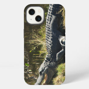 Alligator Sunning on Marsh Bank iPhone 13 Case