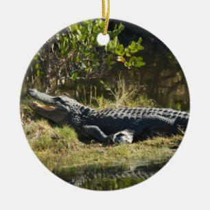 Alligator Sunning on Swamp Bank Ceramic Tree Decoration