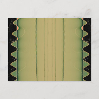 Alligator Tail Postcard