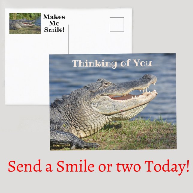 Alligator Thinking of You Makes Me Smile Postcard (Creator Uploaded)